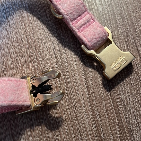 Clip on dog collar - Picture 7 of 7